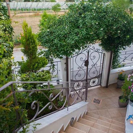 Villa Dina's House